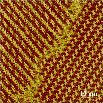 Insight Into the Superlubricity and Self-Assembly of Liquid Crystals